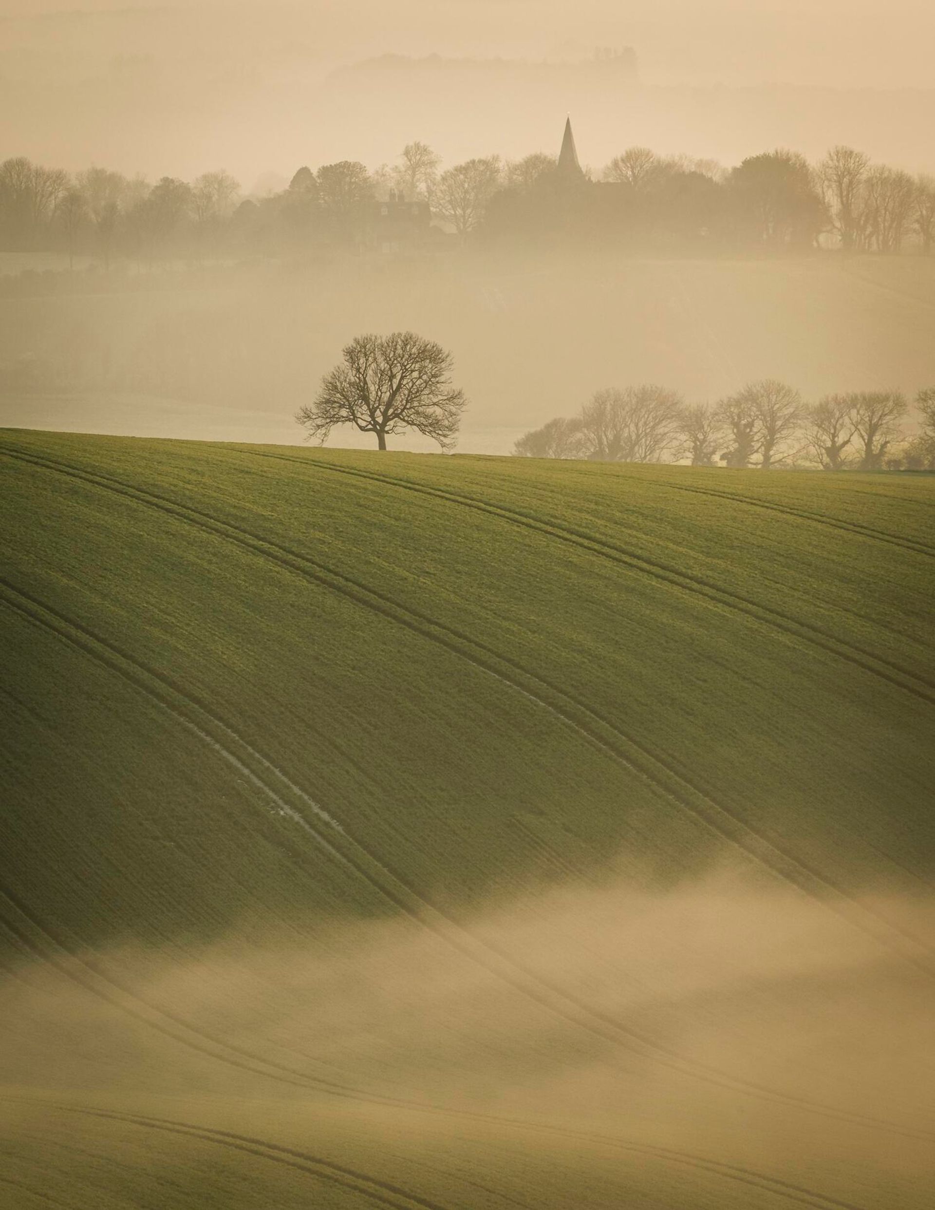 Landscape Photograph